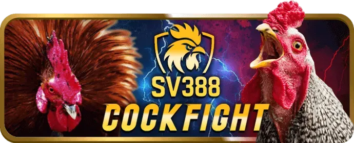 Đá gà m 99win